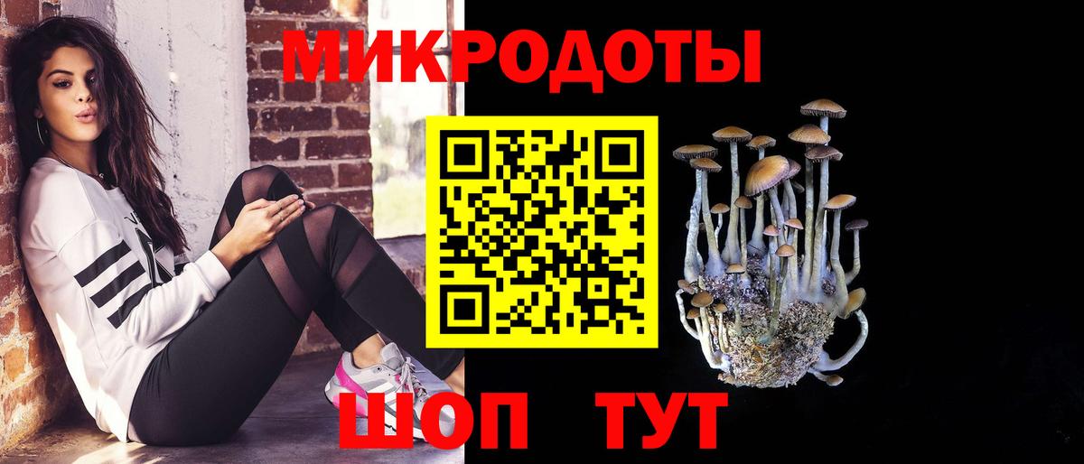 Псилоцибиновые грибы мицелий Зеленокумск
