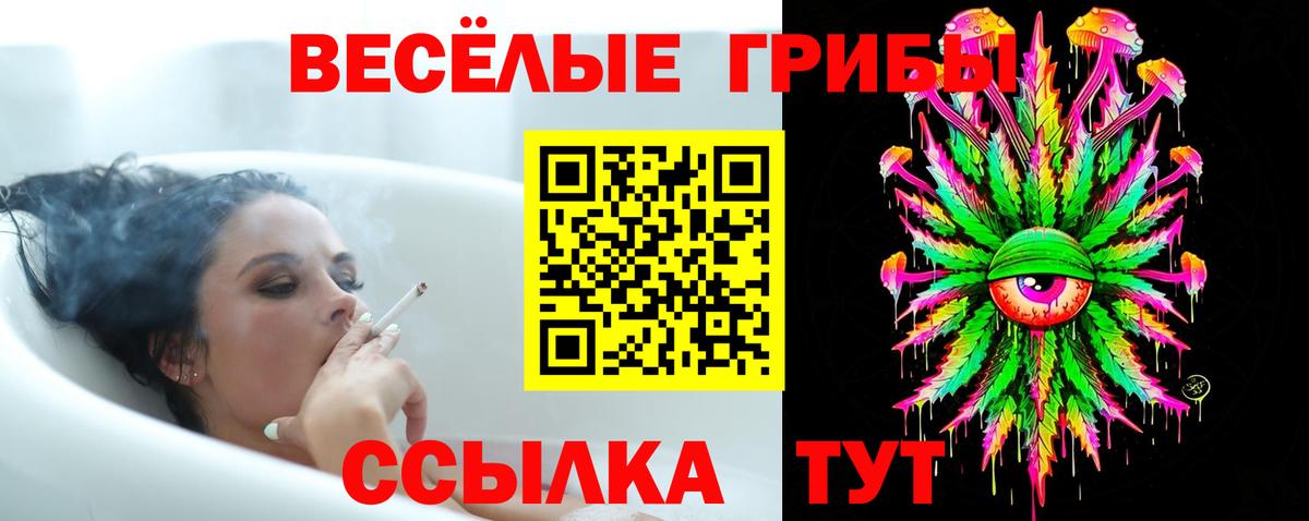 Псилоцибиновые грибы прущие грибы  Вход с VPN  Зеленокумск 